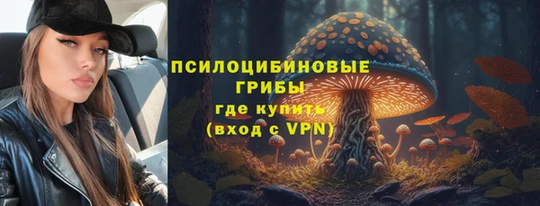 хмурый Абинск